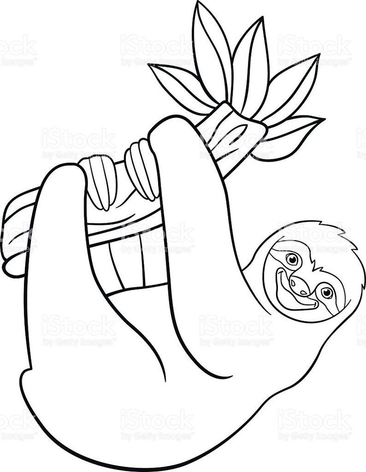 Sloth coloring page cute sloth coloring pages print coloring