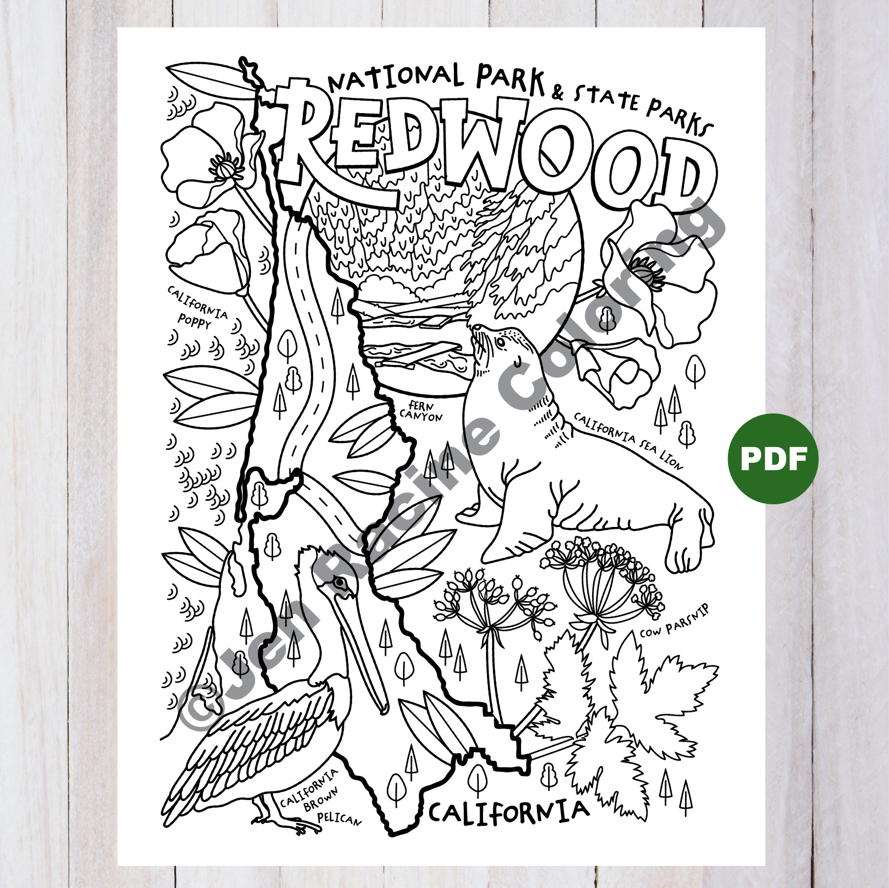 Redwood national park coloring page