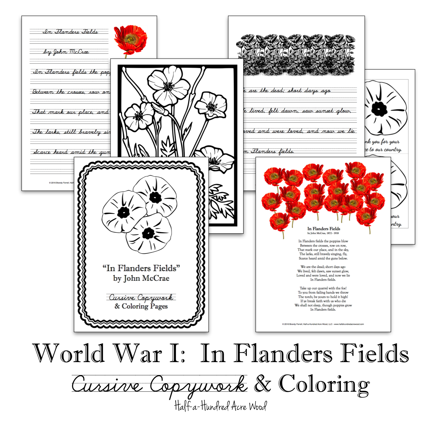 In flanders fields wwi poetry copywork coloring half a hundred acre wood