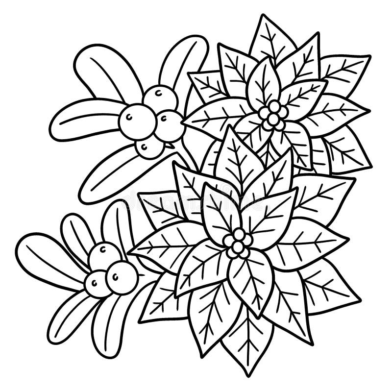 Christmas poinsettia isolated coloring page stock vector