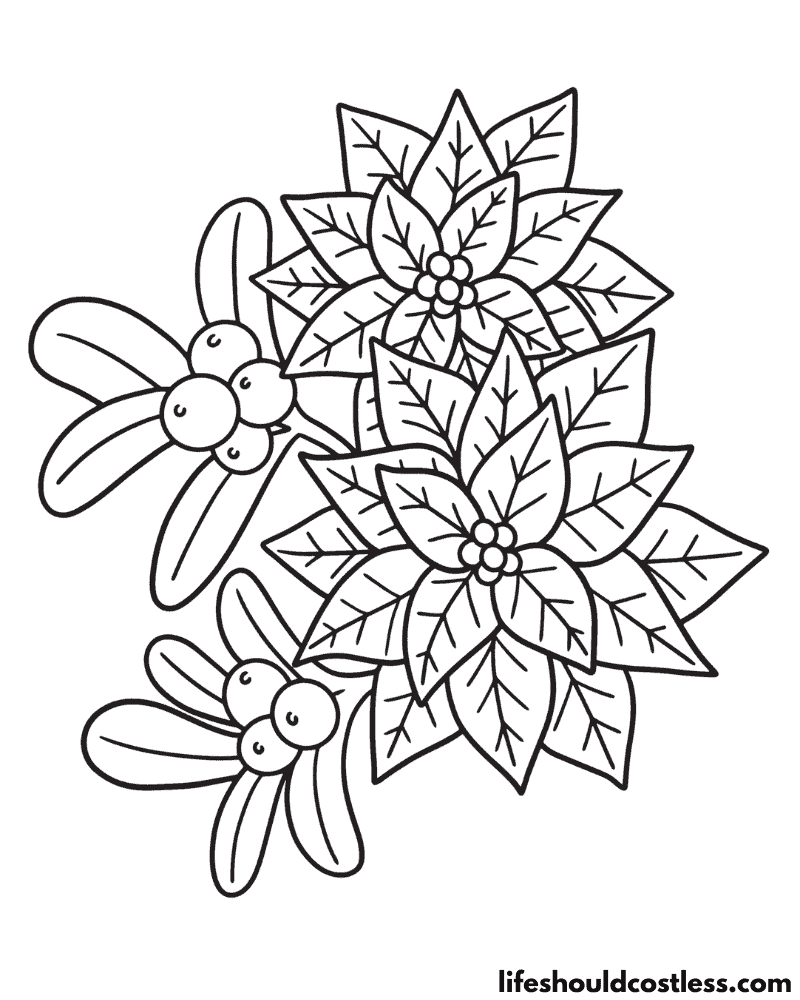 Poinsettia coloring pages free printable pdf templates