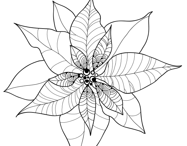 Poinsettia flower coloring page