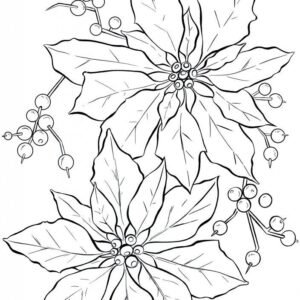 Poinsettia coloring pages printable for free download