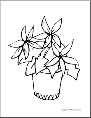 Coloring page poinsettia easy version