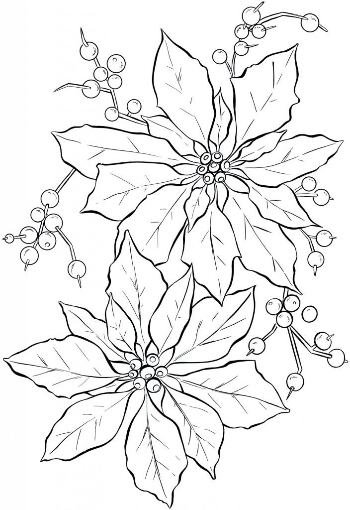 Poinsettia clipart christmas coloring pages christmas drawing coloring pages