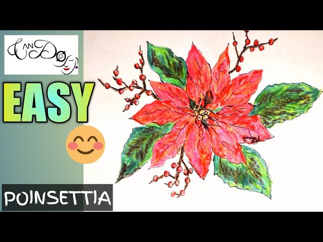 How to draw a poinsettia flower step by step for beginners drawing a christas flower tutorials