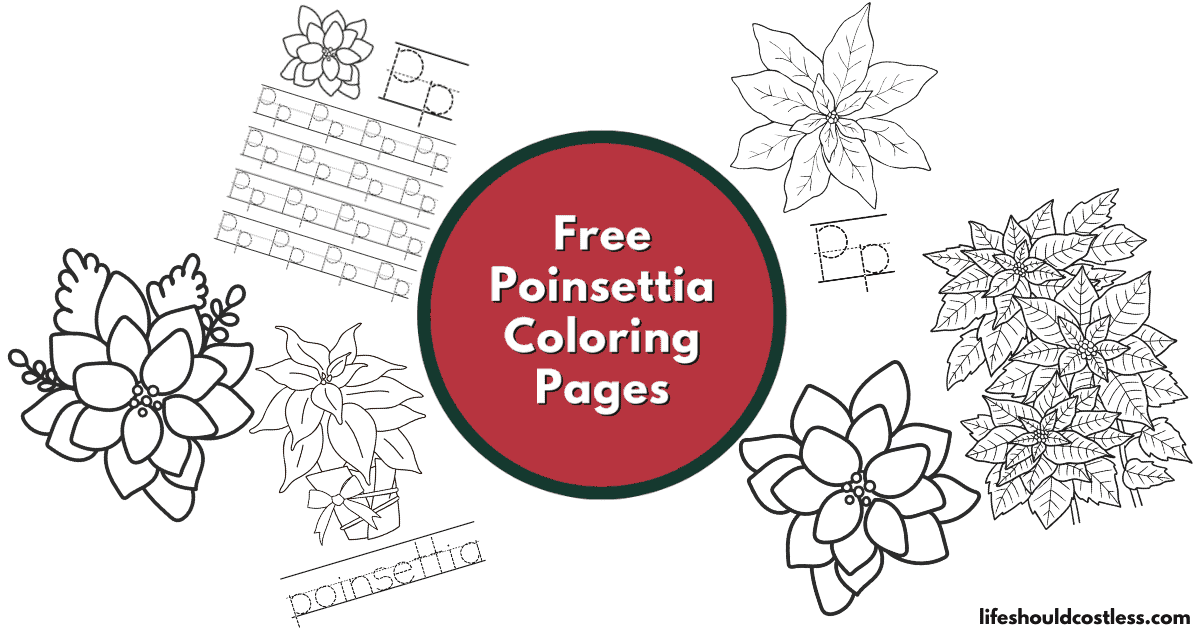 Poinsettia coloring pages free printable pdf templates