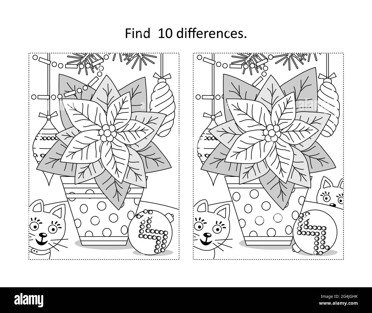 Find differences visual puzzle and coloring page with poinsettia flower in the dotted pot stock vector image art