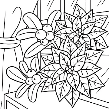 Christmas poinsettia coloring page illustration yuletide coloring page colour vector christmas drawing rat drawing ring drawing png and vector with transparent background for free download