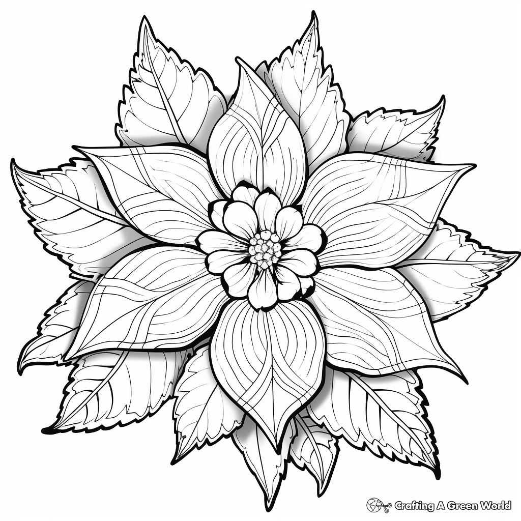 Pointsetta coloring pages