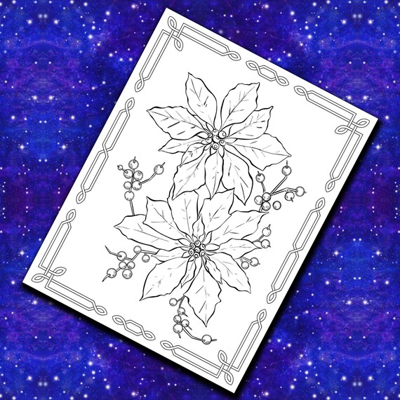 Celtic poinsettia coloring page