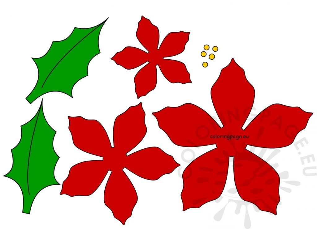 Poinsettia red christmas flower printable coloring page