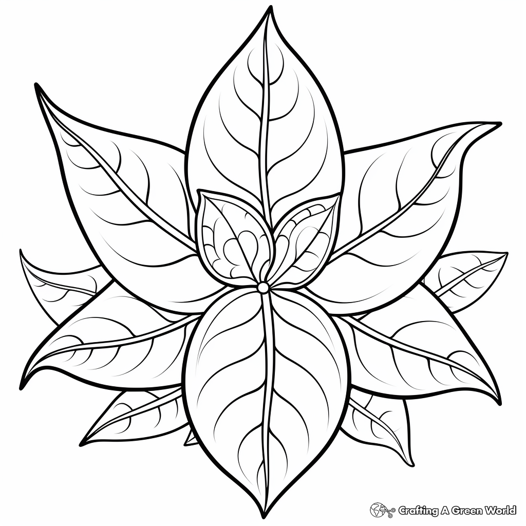 Pointsetta coloring pages