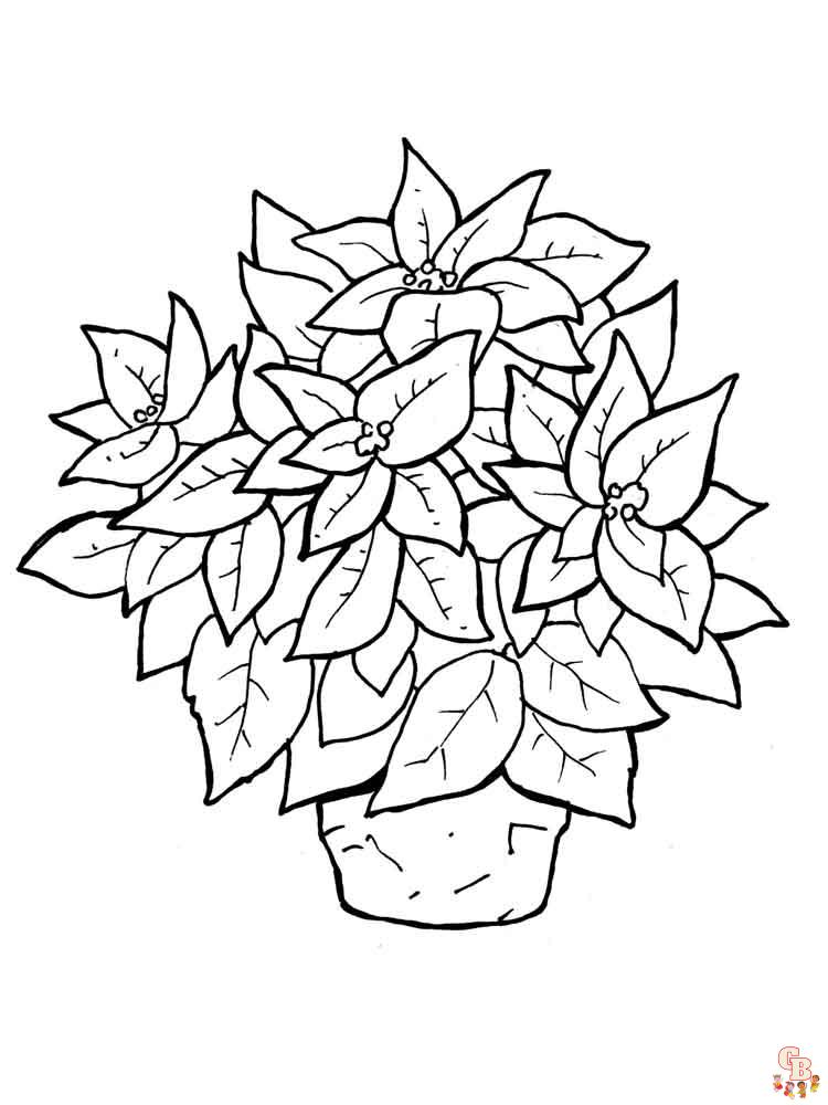 Get festive with poinsettia coloring pages