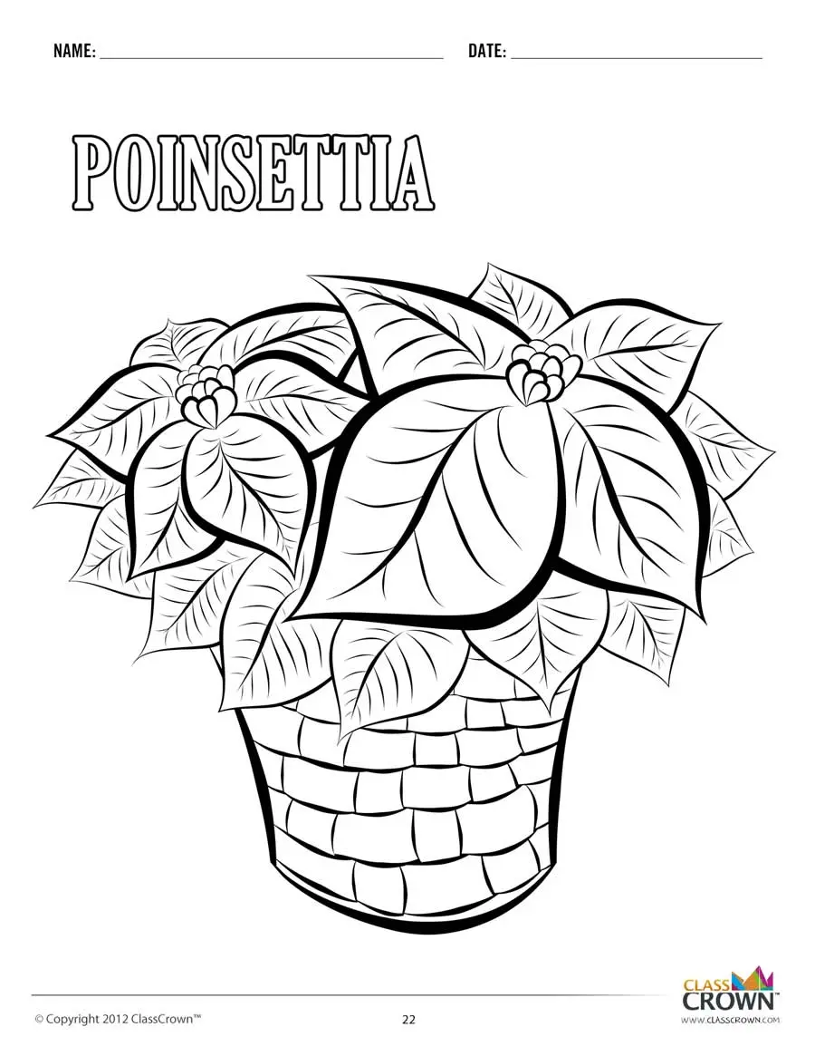 Poinsettia coloring page