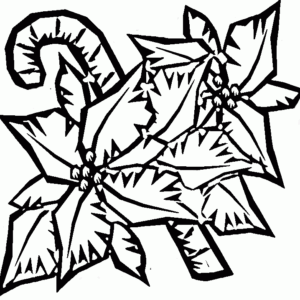 Poinsettia coloring pages printable for free download