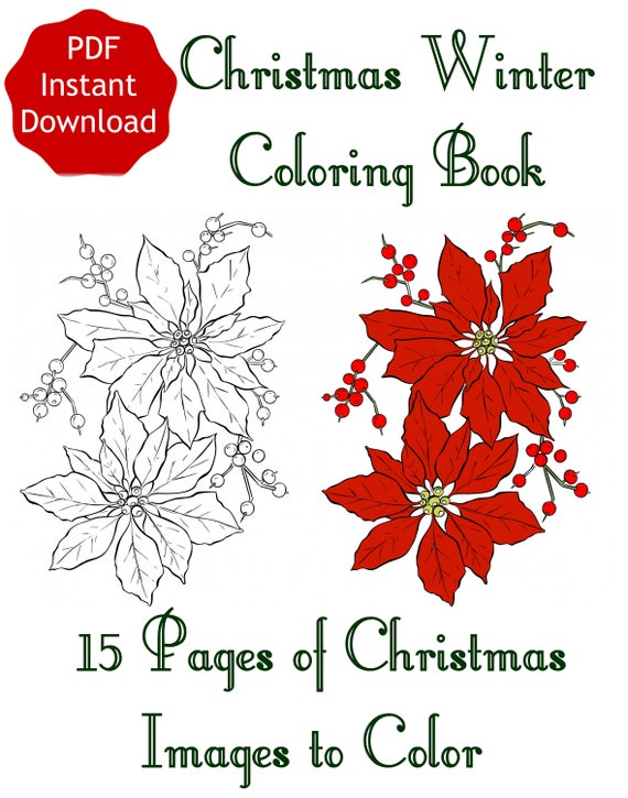 Instant download winter holiday christmas coloring book to print pdf digital download