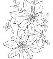 Top poinsettia coloring pages for your little ones coloring pages