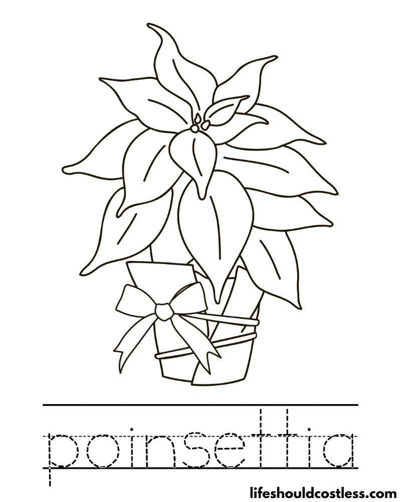 Poinsettia coloring pages free printable pdf templates