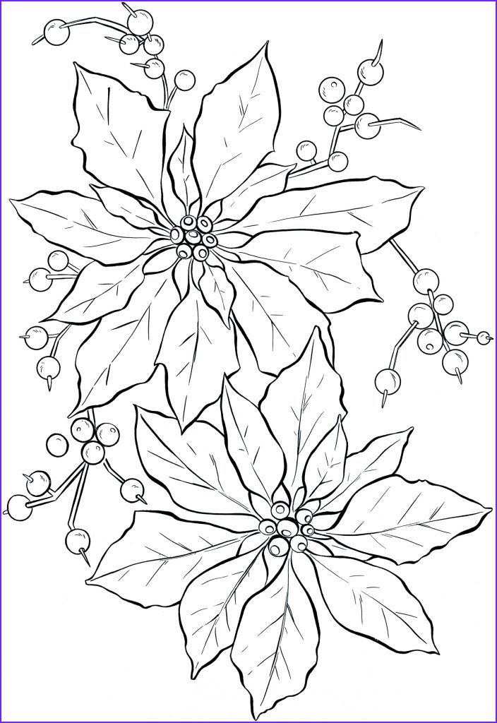 Photos into coloring pages new photos free printable poinsettia coloring pages for kids