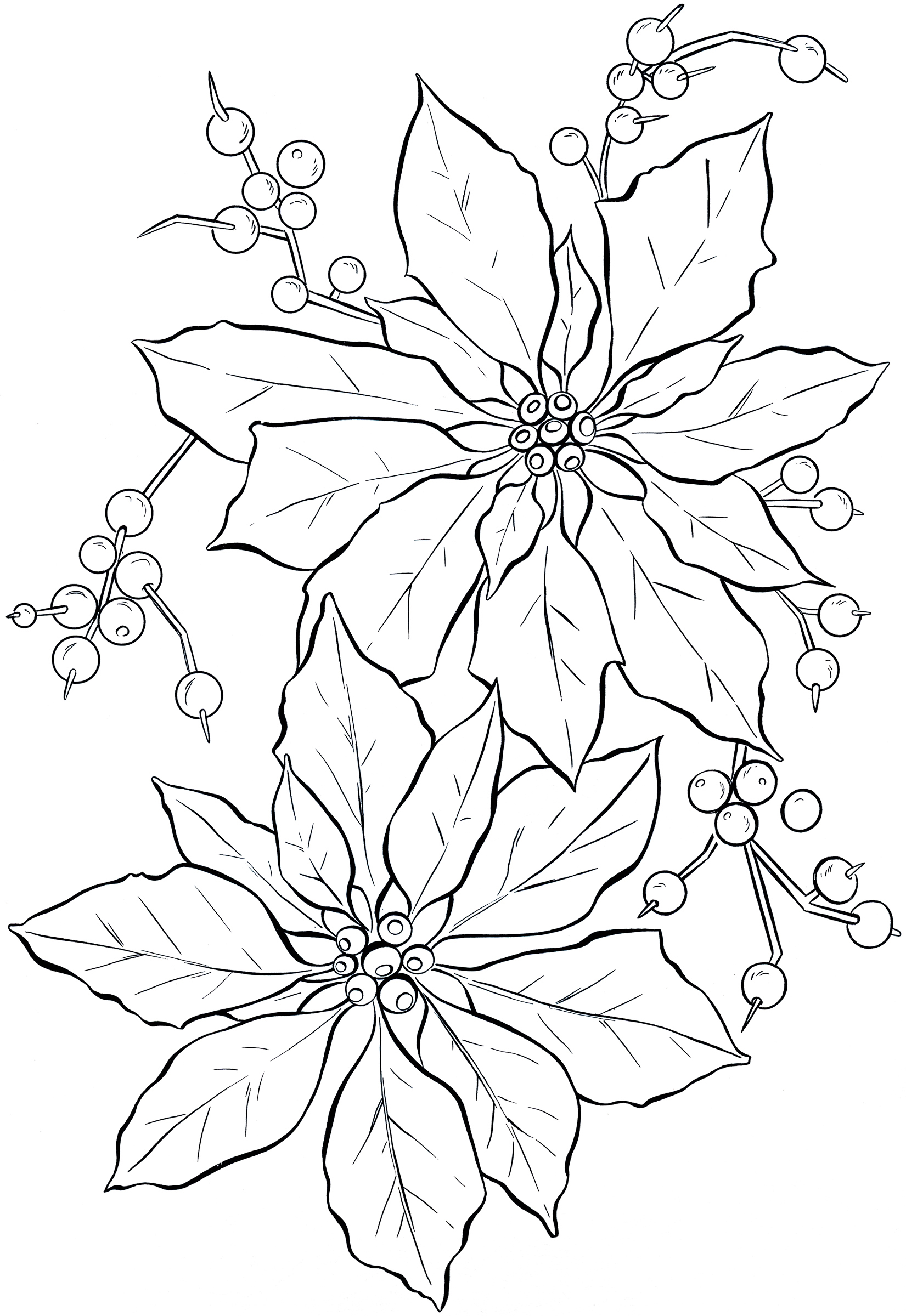 Free printable poinsettia coloring pages for kids