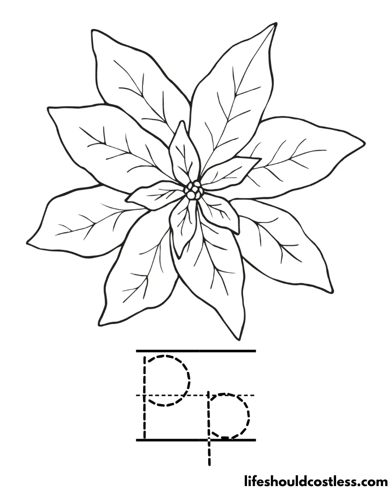 Poinsettia coloring pages free printable pdf templates