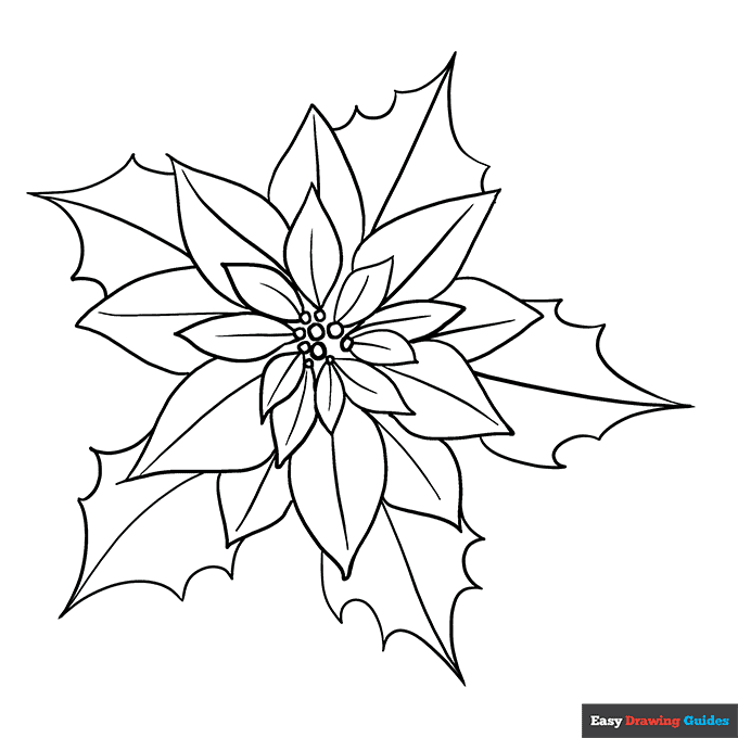 Poinsettia coloring page easy drawing guides