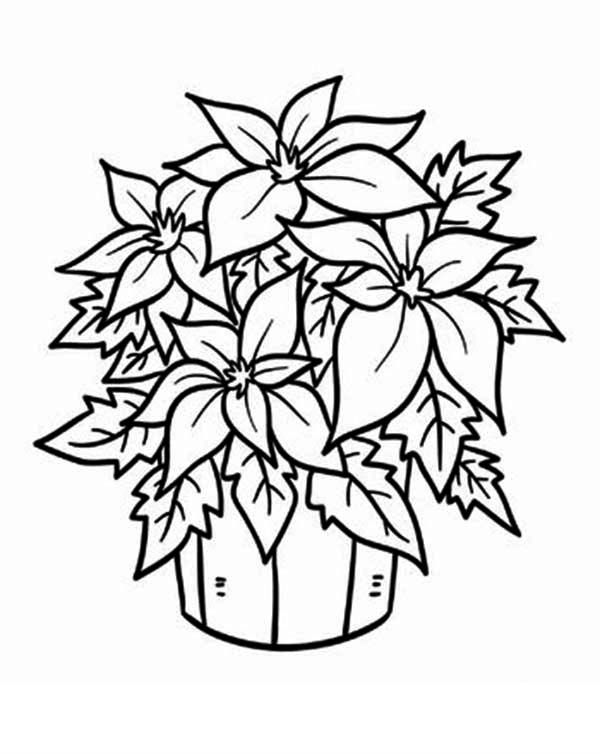 Free coloring pages christmas coloring pages printable christmas coloring pages flower coloring pages