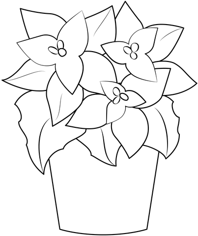 Poinsettia coloring page free printable coloring pages