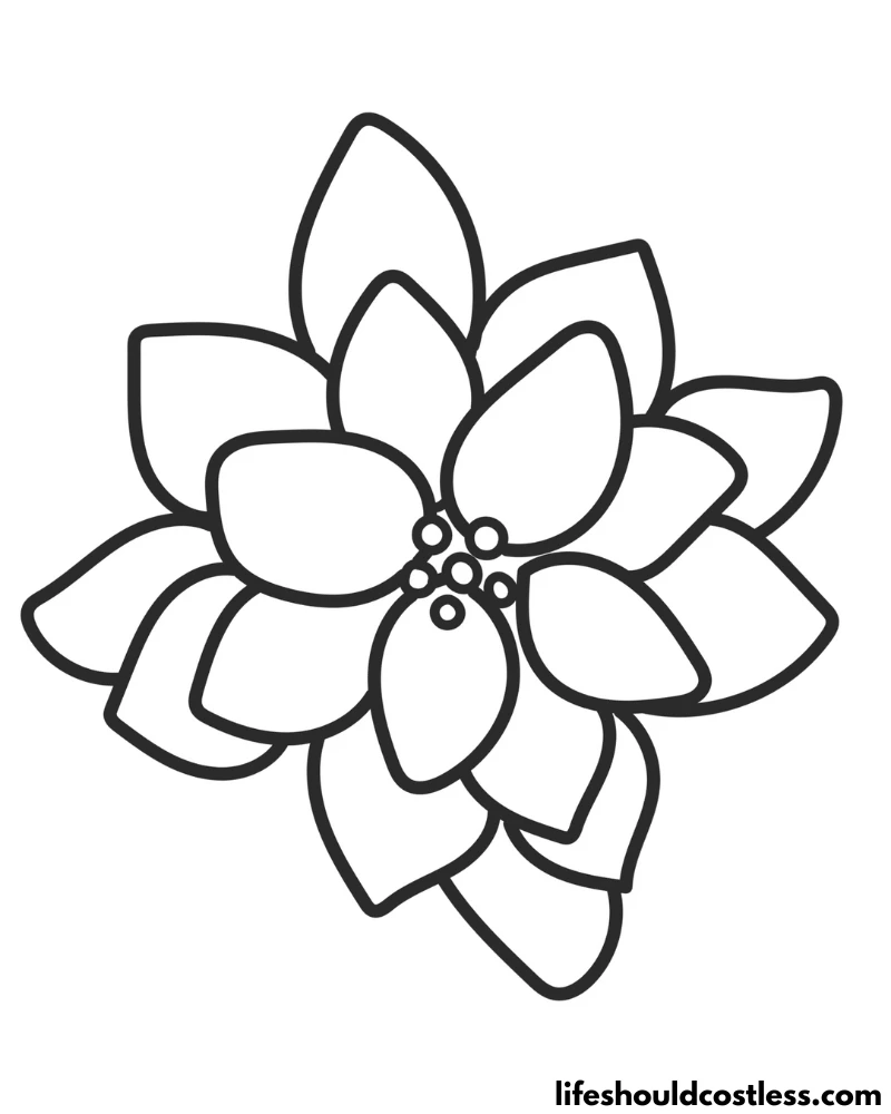 Poinsettia coloring pages free printable pdf templates