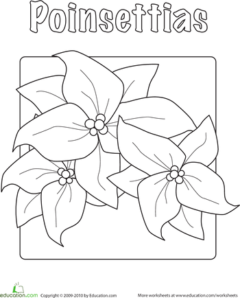 Poinsettia worksheet education coloring pages preschool christmas christmas units