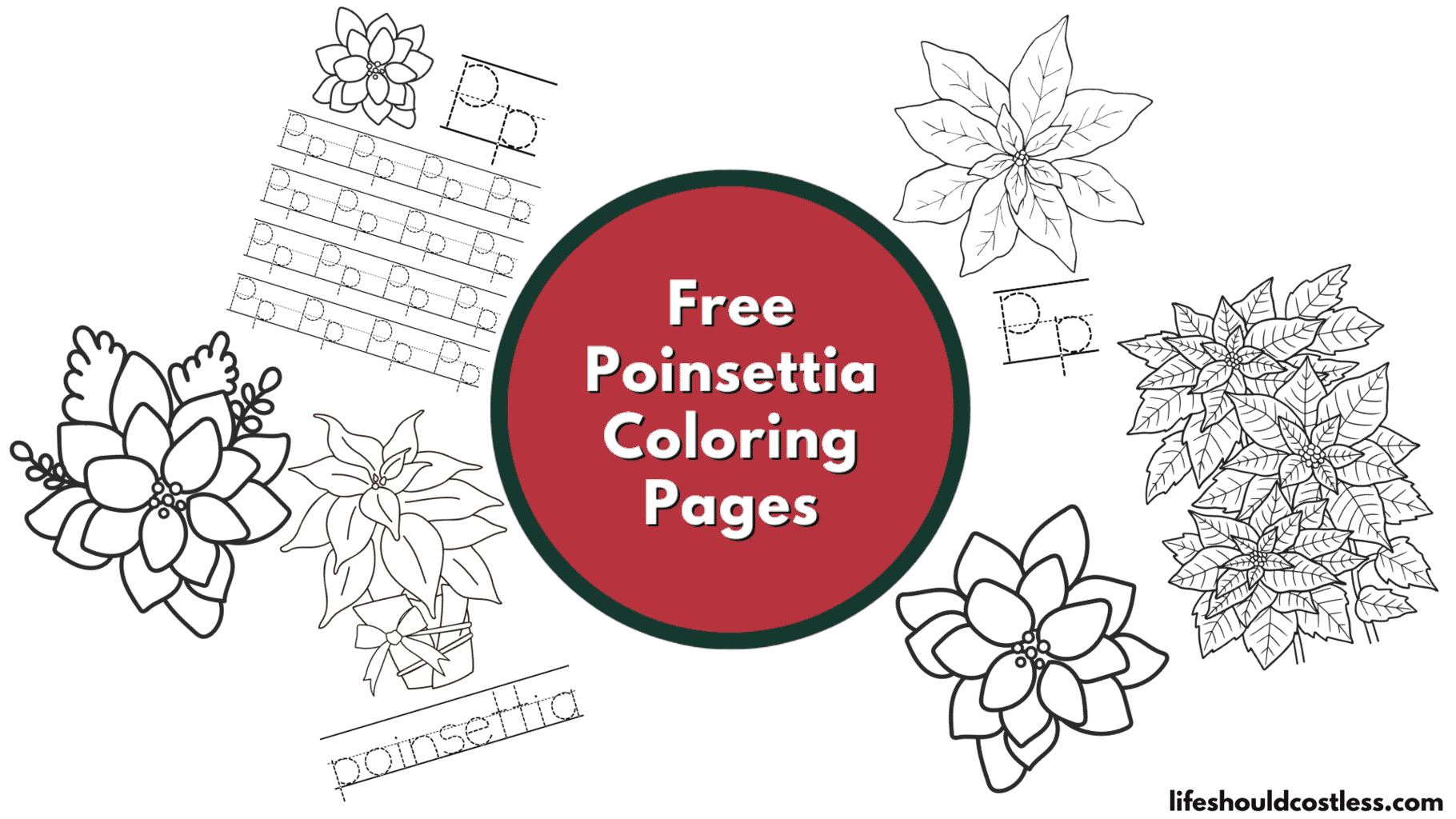 Poinsettia coloring pages free printable pdf templates