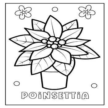 Poinsettia coloring page flower poinsettia coloring sheet