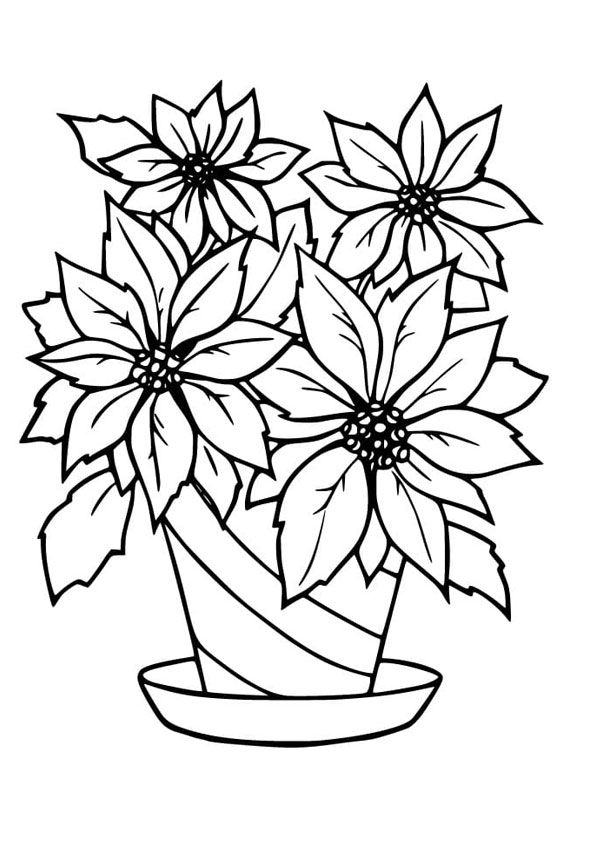 Coloring pages free poinsettia coloring pages for kids