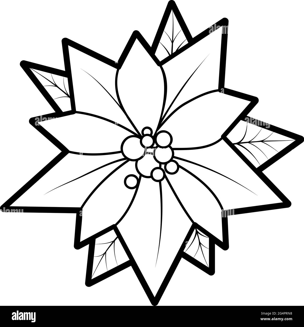 Christmas coloring book or page for kids poinsettia black and white vector illustration stock vector image art