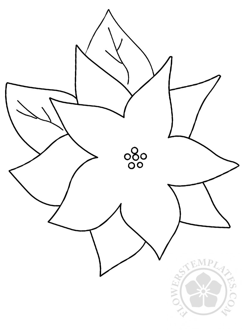 Large poinsettia flower coloring page