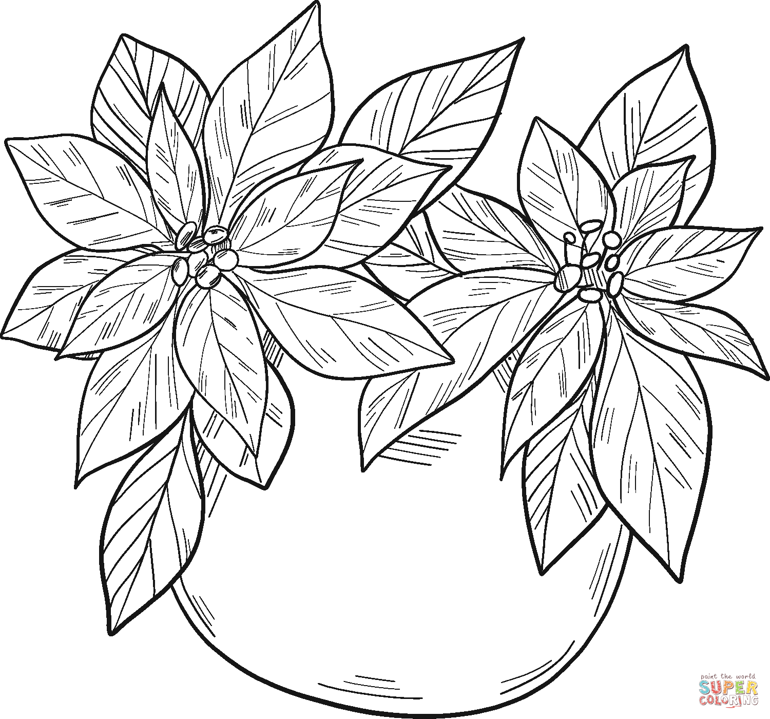 Poinsettia in a pot coloring page free printable coloring pages
