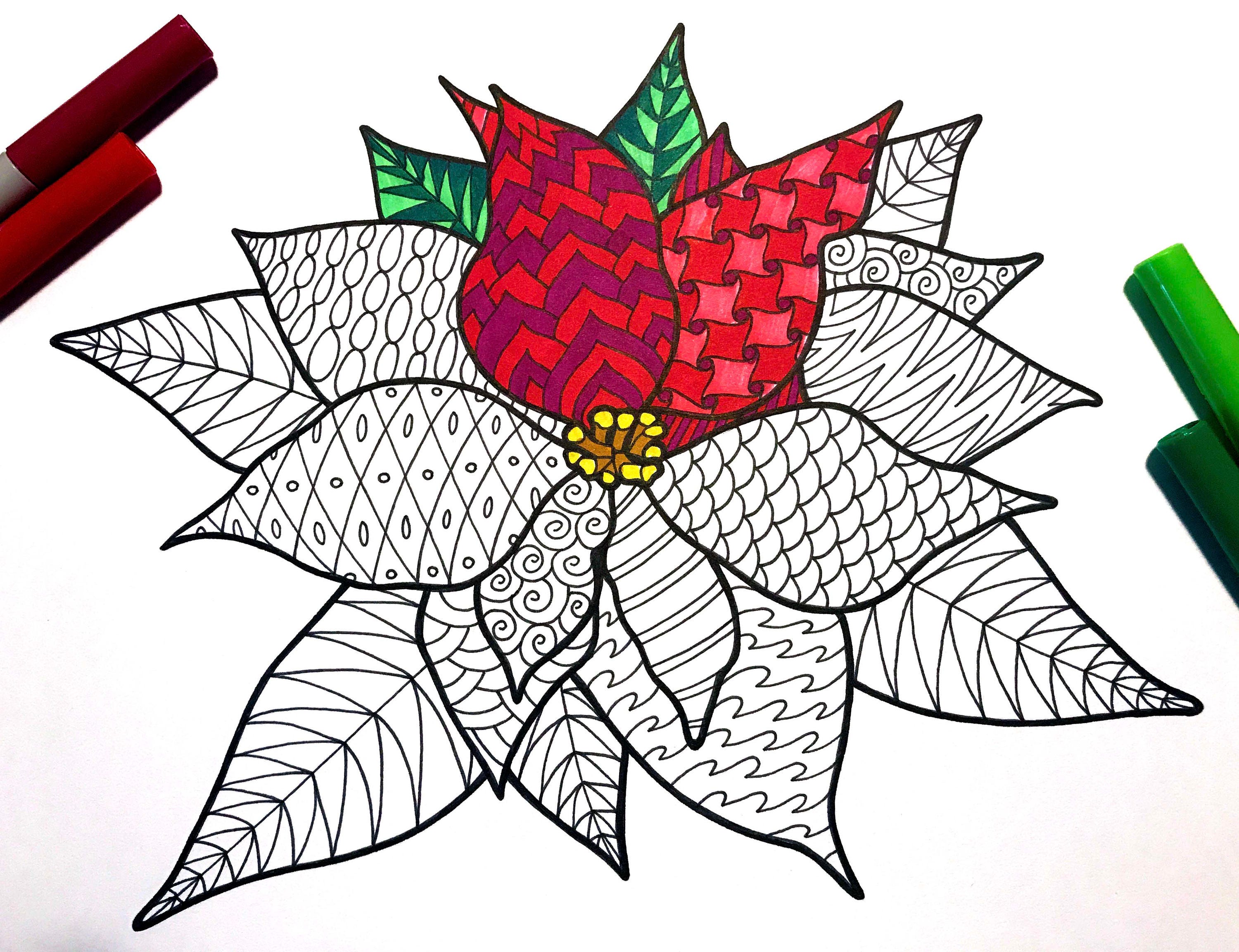 Poinsettia pdf coloring page