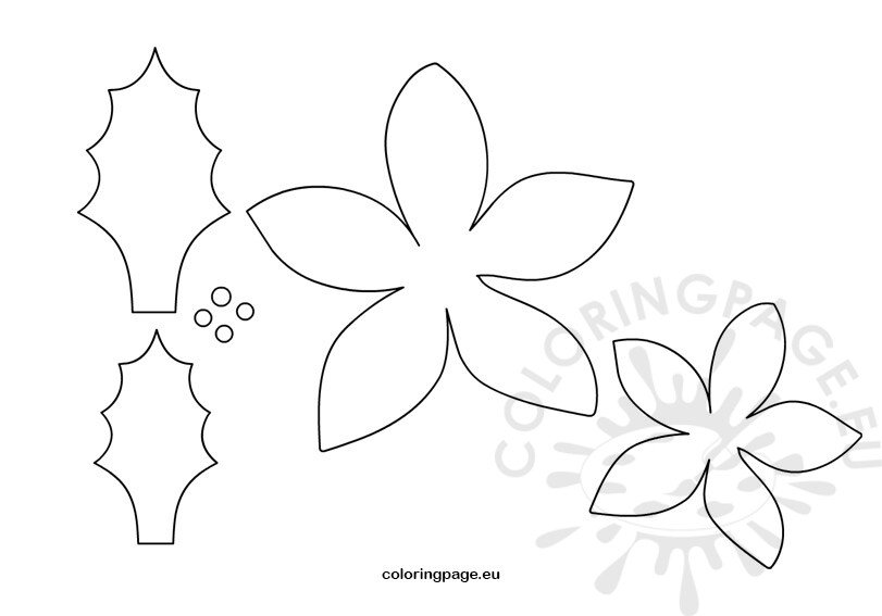 Flower poinsettia craft template coloring page