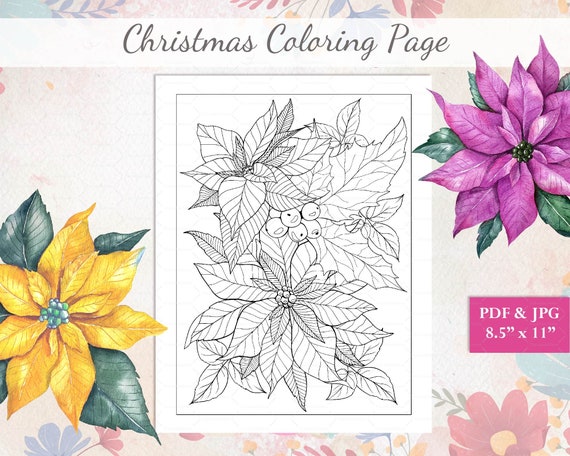 Christmas coloring activities poinsettia coloring adult coloring pages floral coloring pages for adults coloring at home home activity