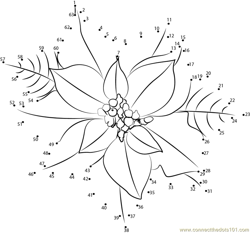 Poinsettia flower dot to dot printable worksheet