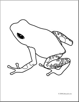 Clip art frogs strawberry poison dart frog coloring page i