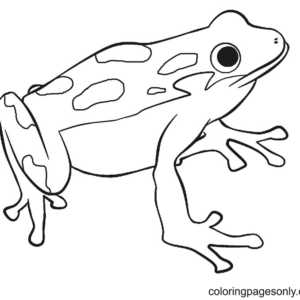 Frog coloring pages printable for free download