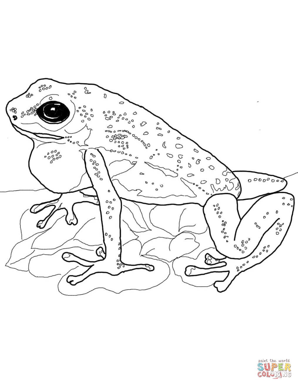 Strawberry poison dart frog coloring page free printable coloring pages