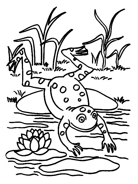 Poison dart frog coloring page