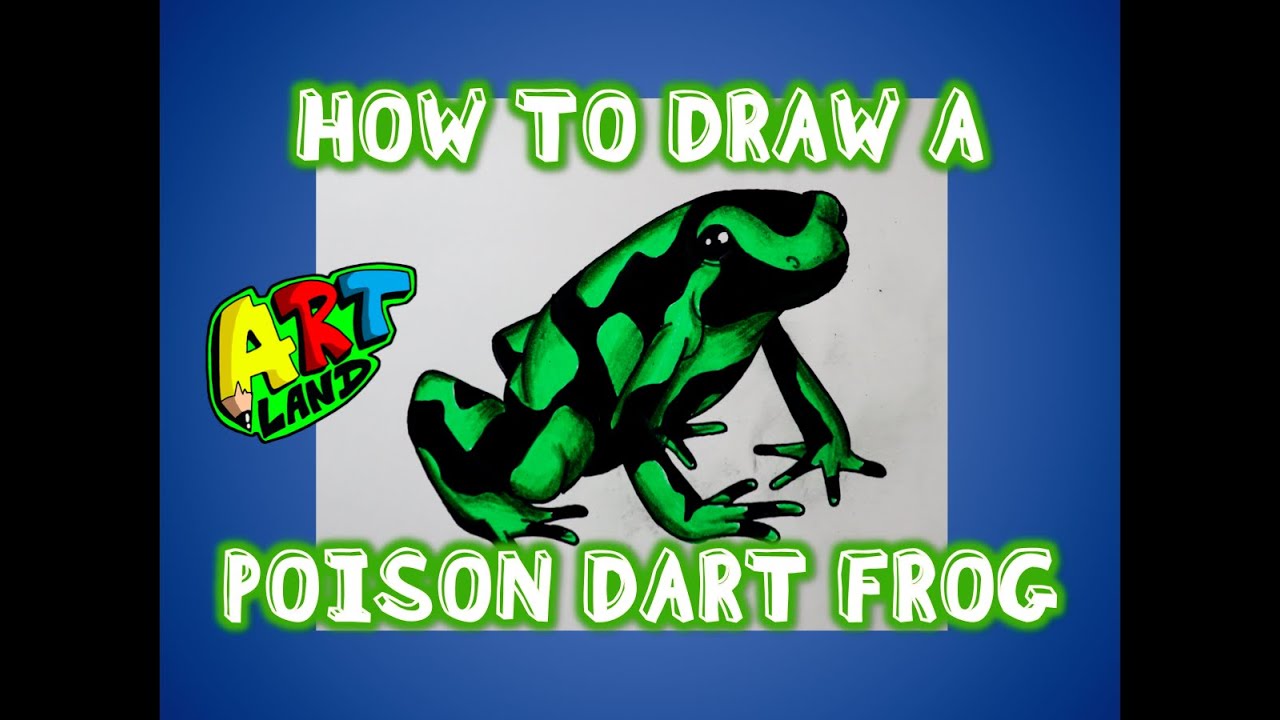 How to draw a poison dart frog