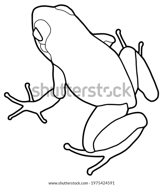 Little frog spotted poison dart frog stock vector royalty free