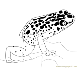 Blue poison dart frog coloring page for kids