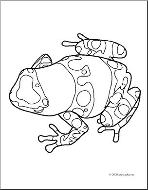 Clip art frogs yellow banded poison dart frog coloring page i