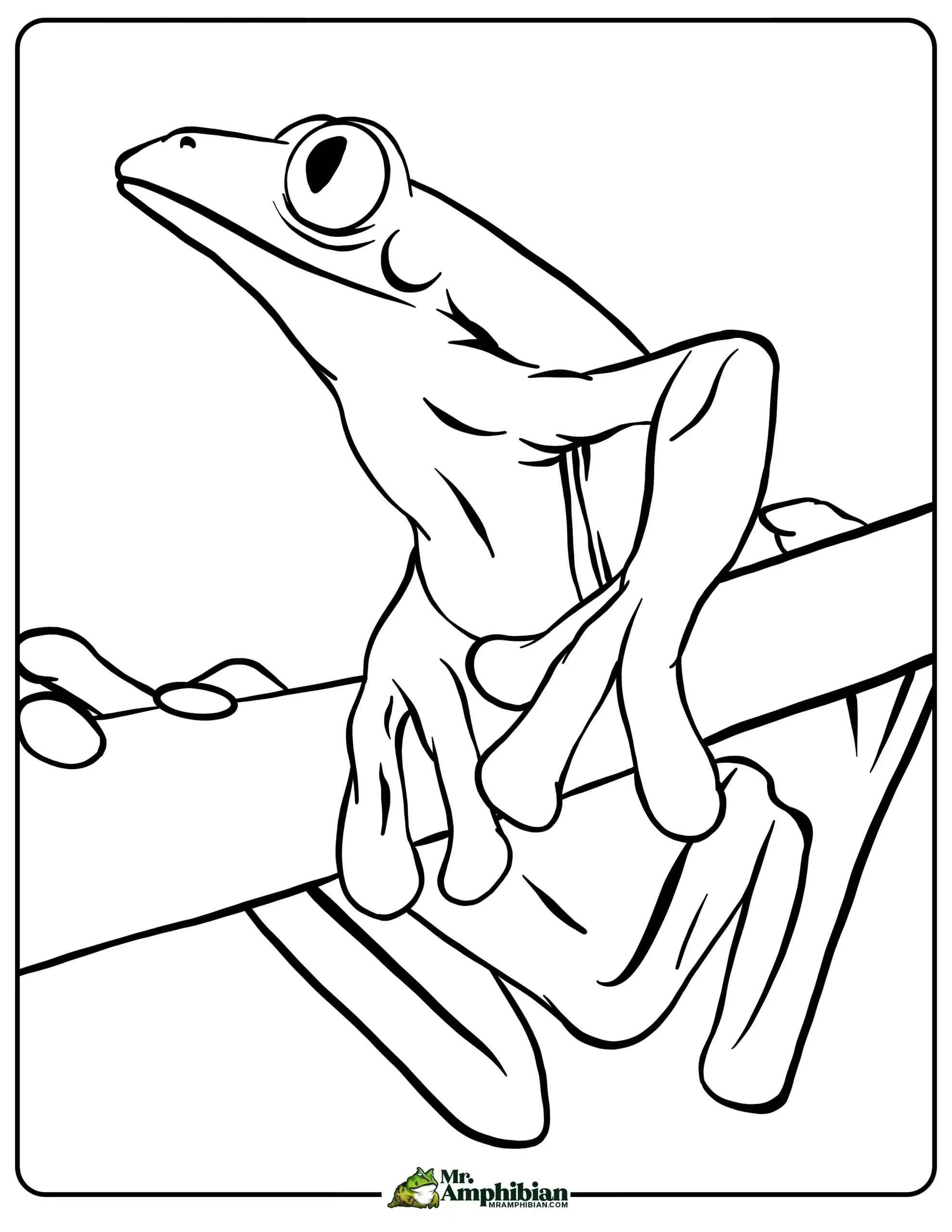 Frog coloring pages printable